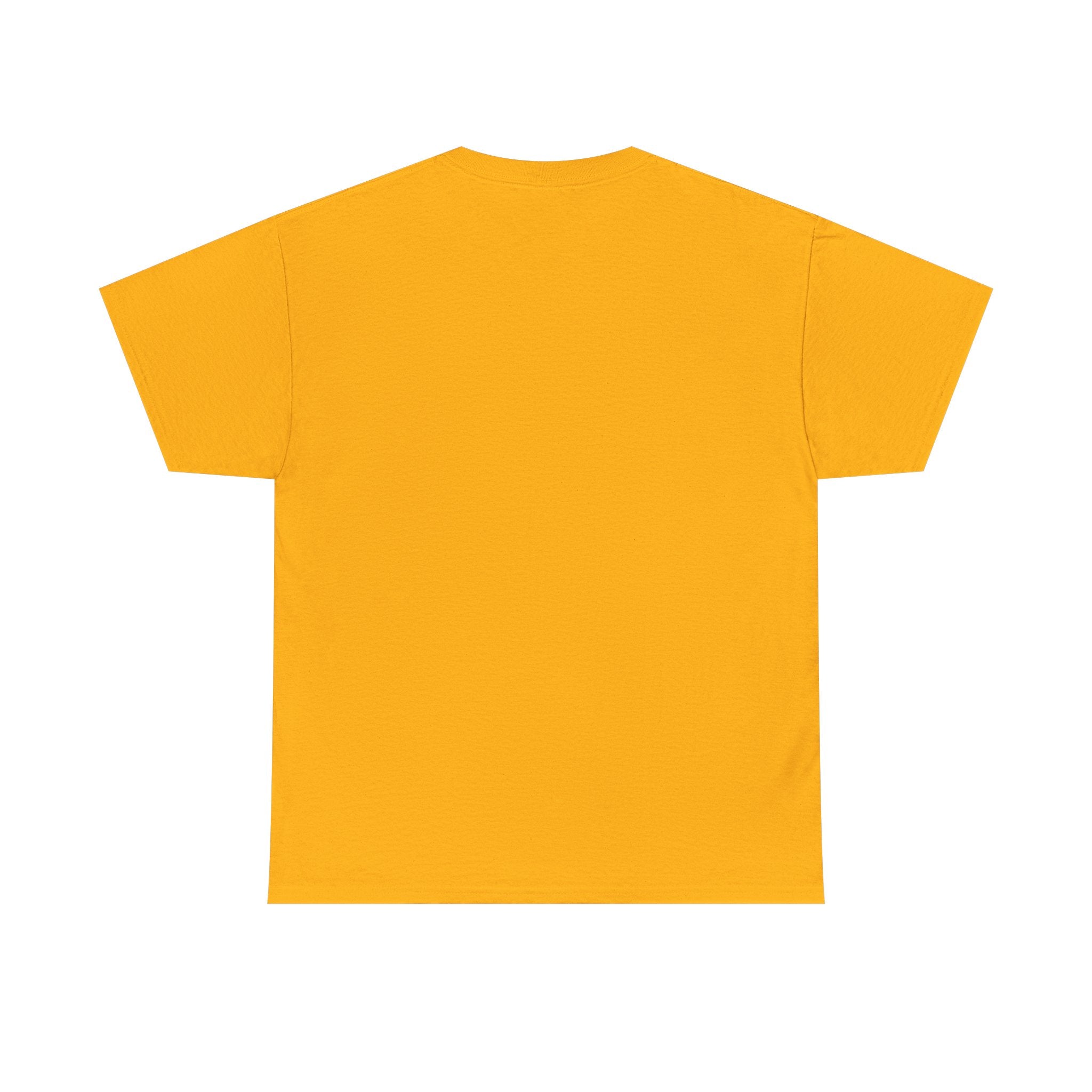 T-shirt d'entraînement – T-shirt de musculation rétro « La douleur est temporaire, la puissance est éternelle »
